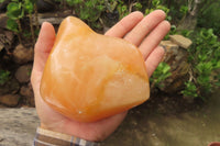 Polished Orange Twist Calcite Standing Free Forms x 2 From Madagascar - Toprock Gemstones and Minerals 