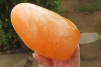 Polished Orange Twist Calcite Standing Free Forms x 2 From Madagascar - Toprock Gemstones and Minerals 