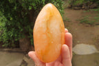 Polished Orange Twist Calcite Standing Free Forms x 2 From Madagascar - Toprock Gemstones and Minerals 