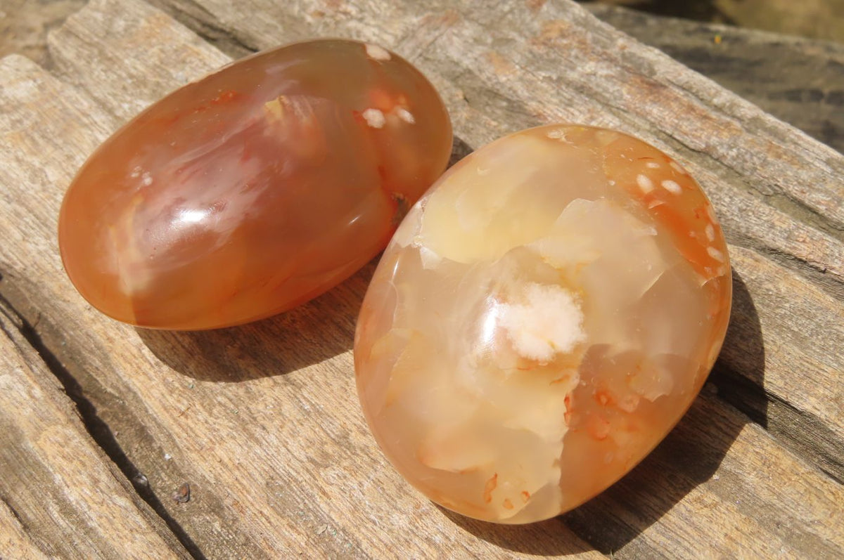 Polished Flower Agate Palm Stones x 12 From Antsahalova, Madagascar - Toprock Gemstones and Minerals 