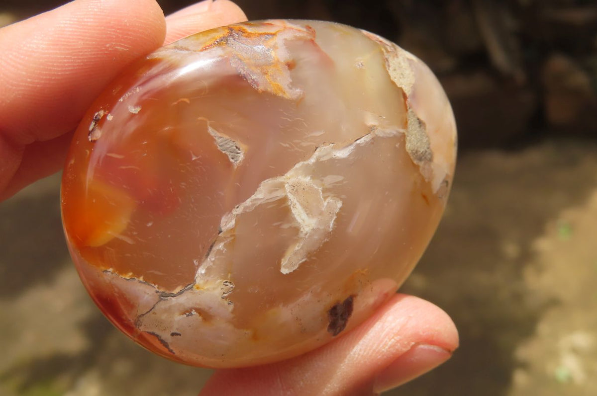 Polished Flower Agate Palm Stones x 12 From Antsahalova, Madagascar - Toprock Gemstones and Minerals 