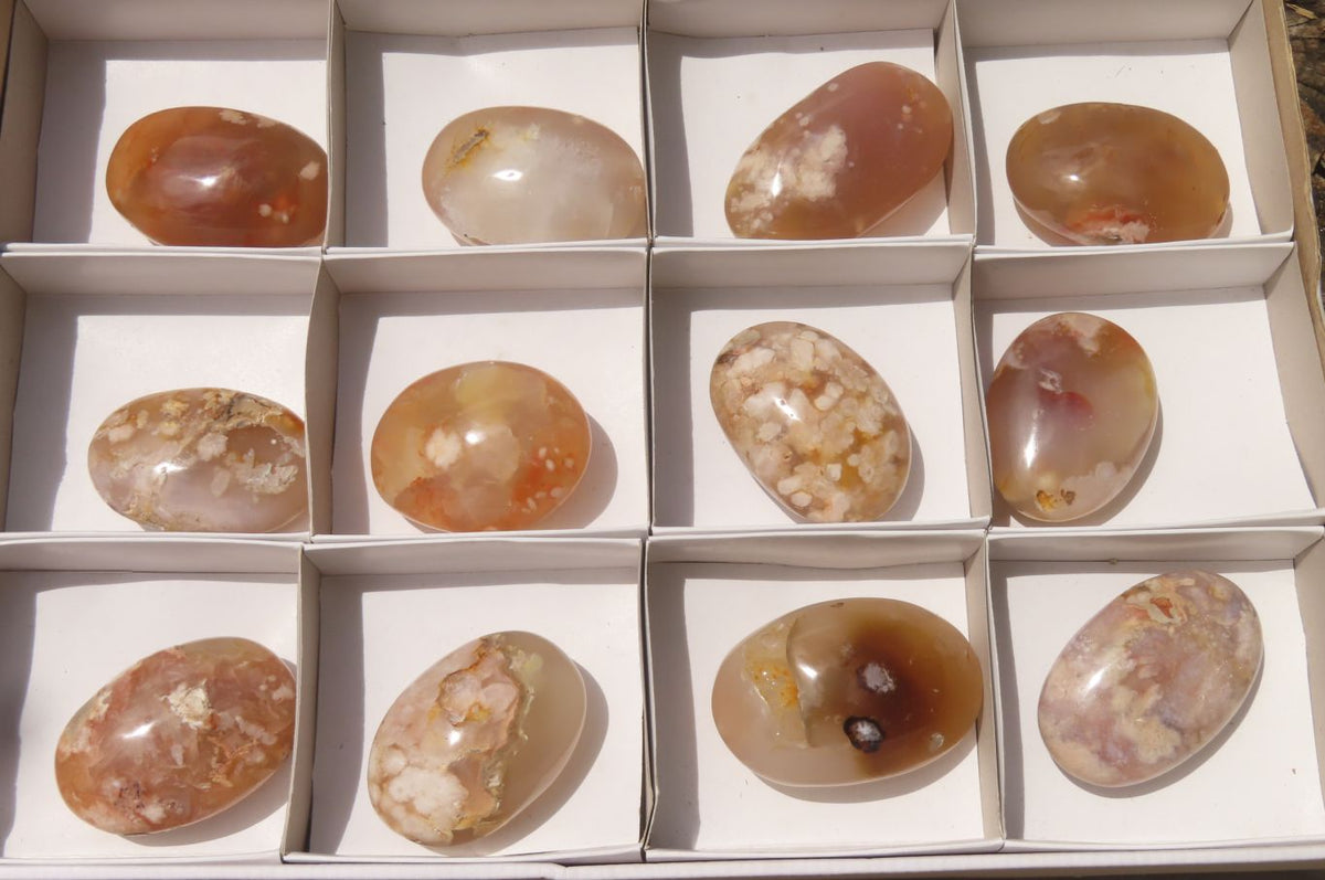 Polished Flower Agate Palm Stones x 12 From Antsahalova, Madagascar - Toprock Gemstones and Minerals 