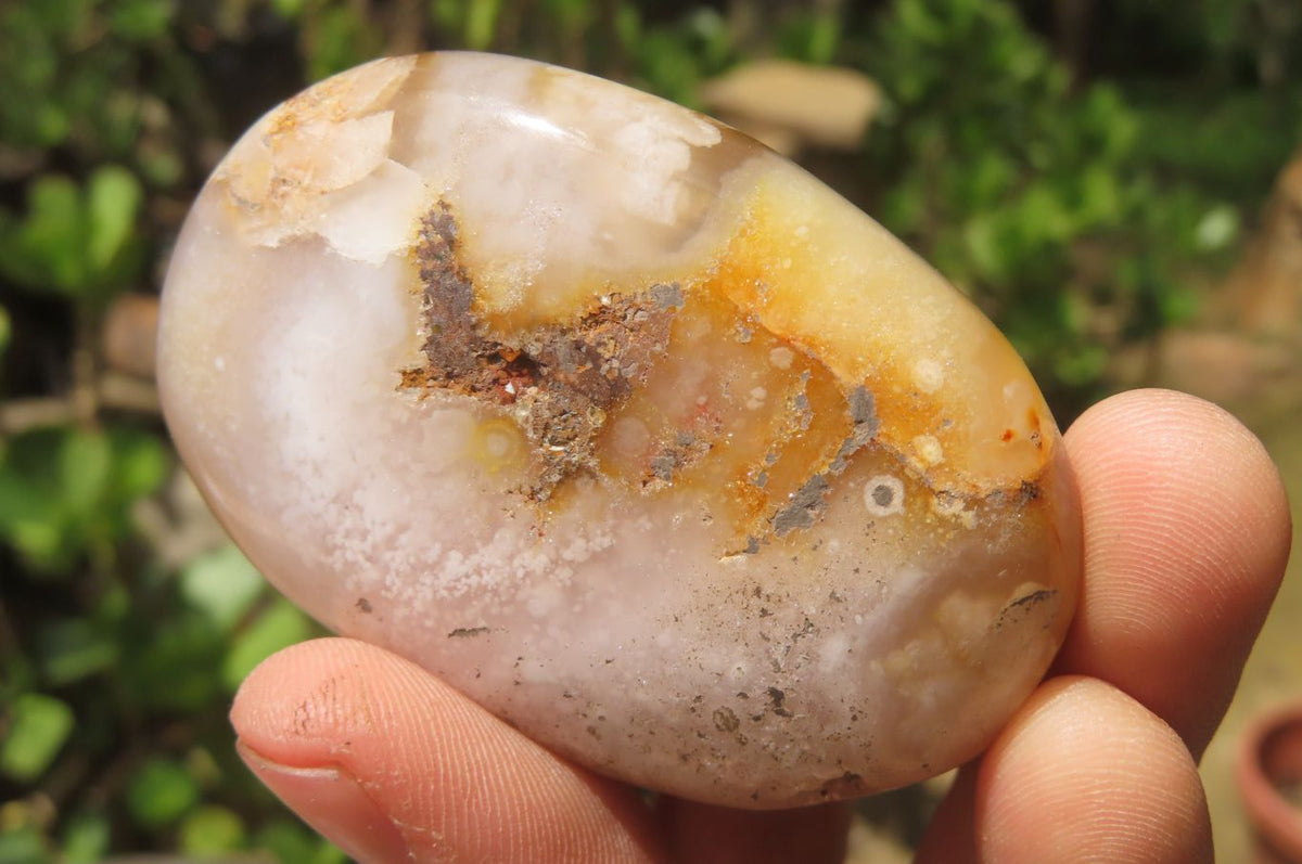 Polished Flower Agate Palm Stones x 12 From Antsahalova, Madagascar - Toprock Gemstones and Minerals 