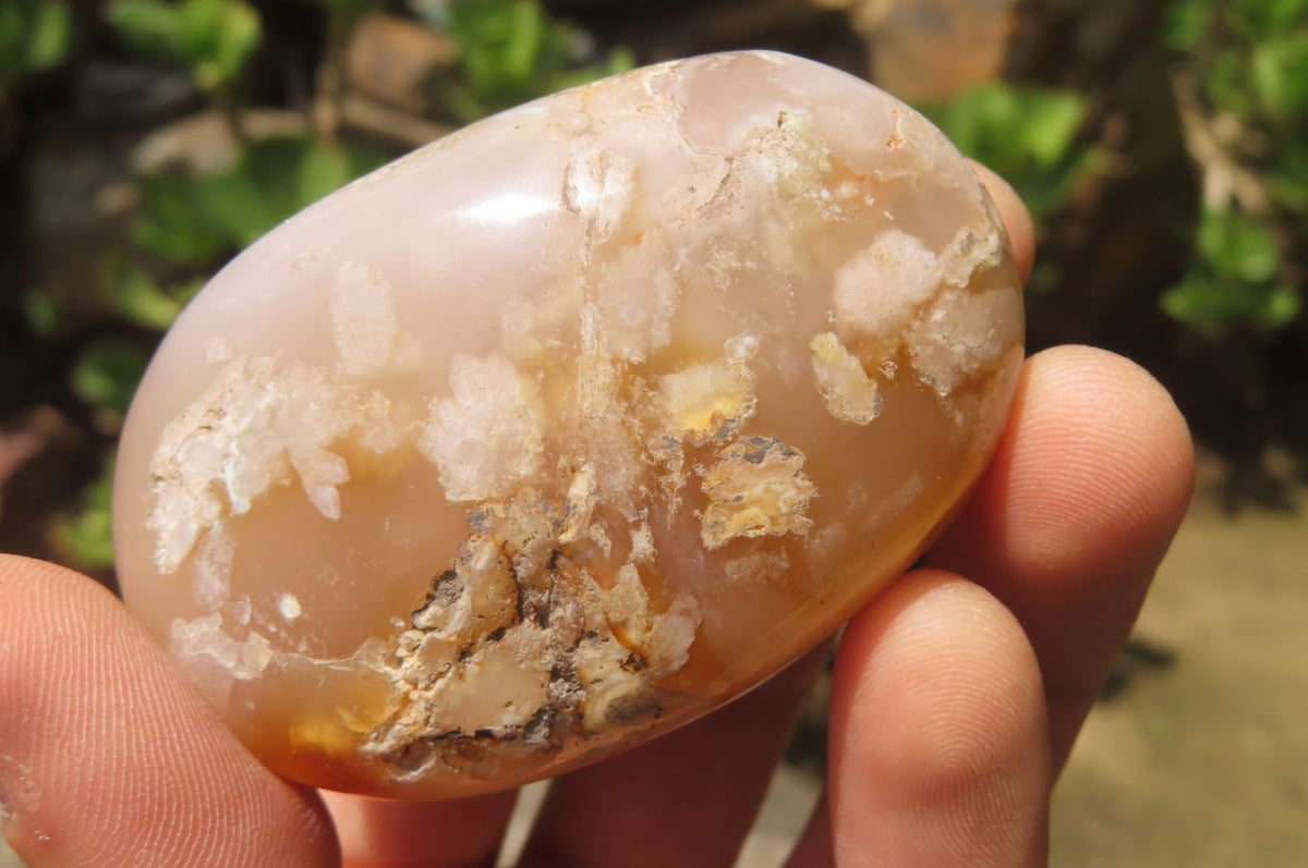 Polished Flower Agate Palm Stones x 12 From Antsahalova, Madagascar - Toprock Gemstones and Minerals 