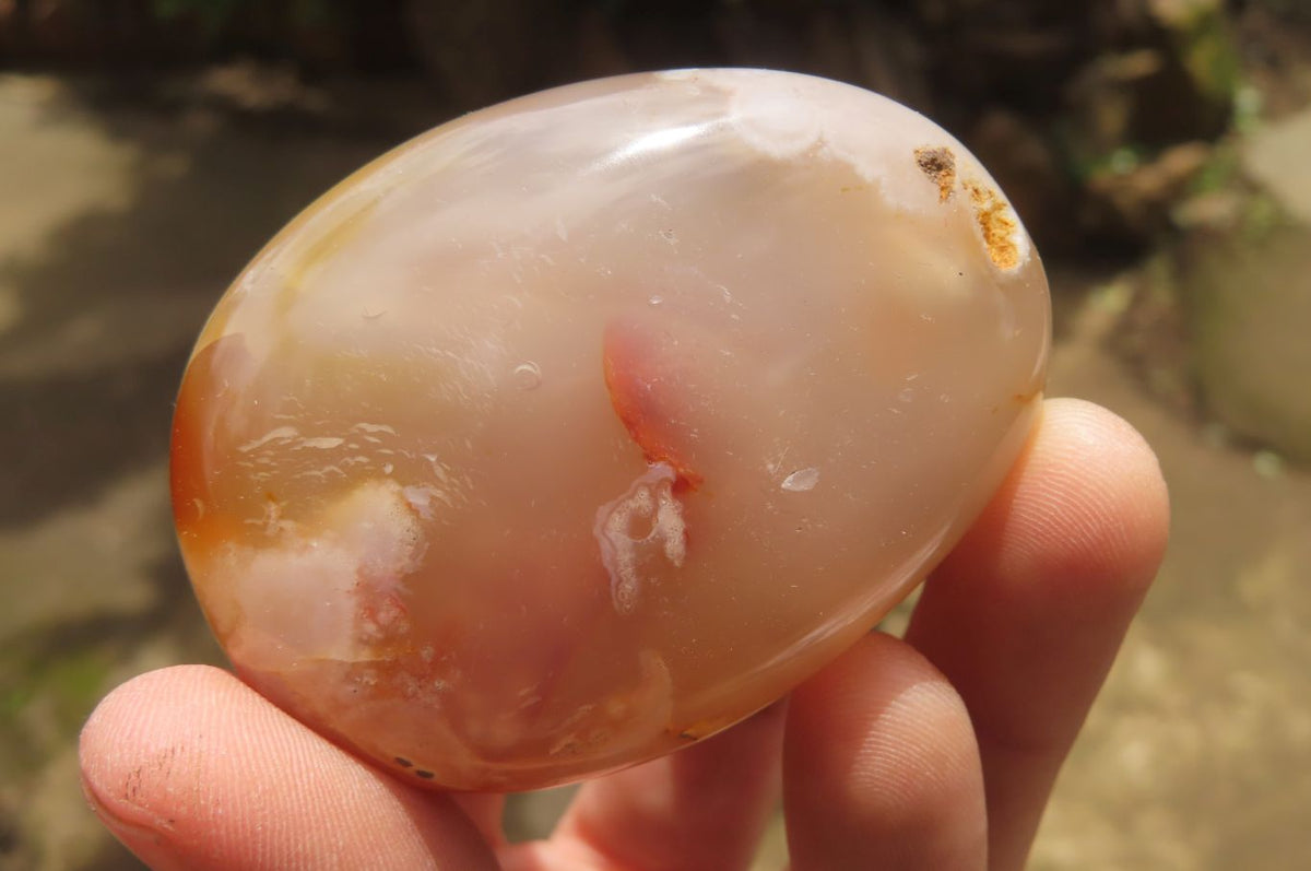 Polished Flower Agate Palm Stones x 12 From Antsahalova, Madagascar - Toprock Gemstones and Minerals 