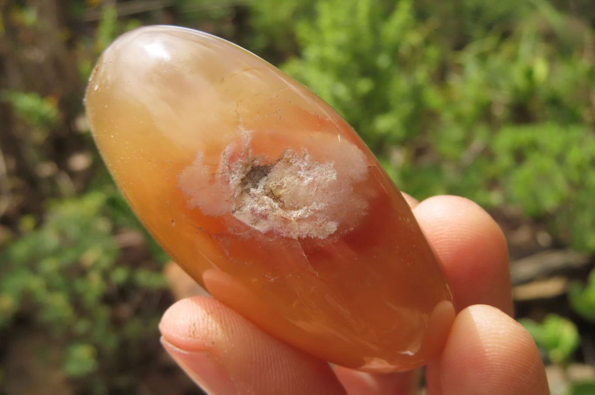 Polished Flower Agate Palm Stones x 12 From Antsahalova, Madagascar - Toprock Gemstones and Minerals 