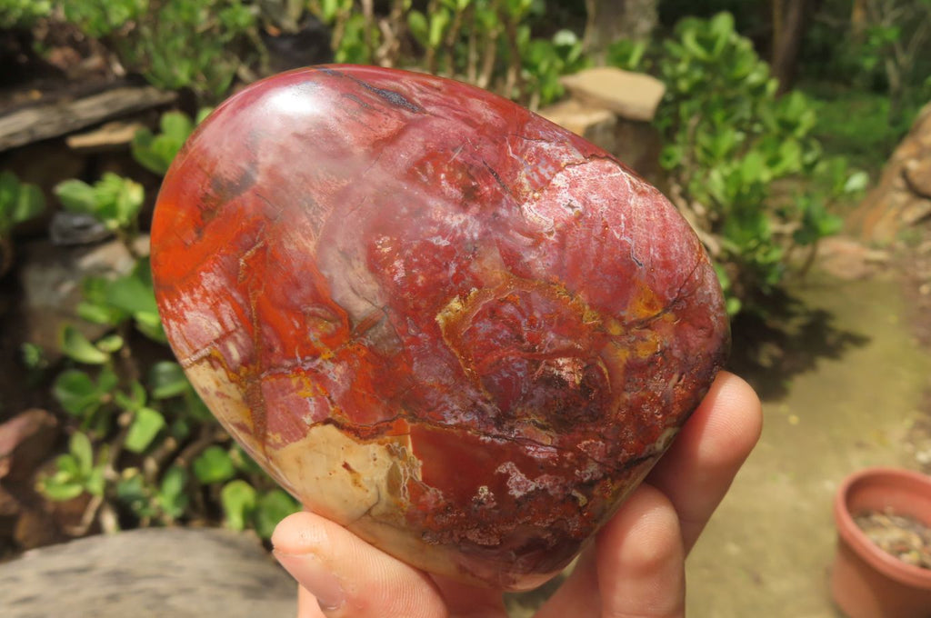 Polished Red Podocarpus Petrified Wood Standing Free Forms x 3 From Madagascar - Toprock Gemstones and Minerals 