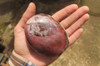 Polished Red Podocarpus Petrified Wood Standing Free Forms x 3 From Madagascar - Toprock Gemstones and Minerals 