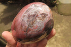 Polished Red Podocarpus Petrified Wood Standing Free Forms x 3 From Madagascar - Toprock Gemstones and Minerals 