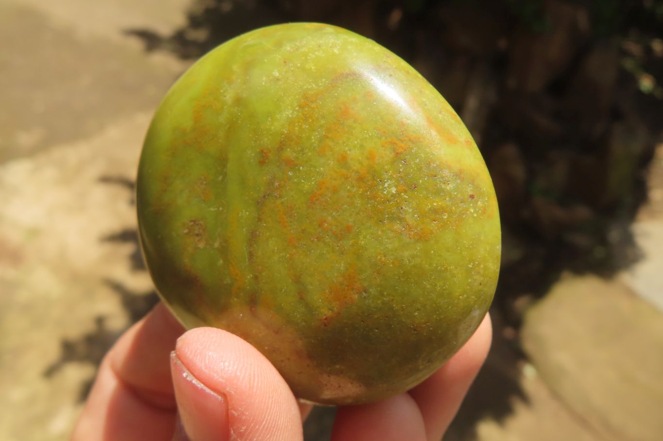 Polished Green Opal Palm Stones x 24 From Madagascar - Toprock Gemstones and Minerals 