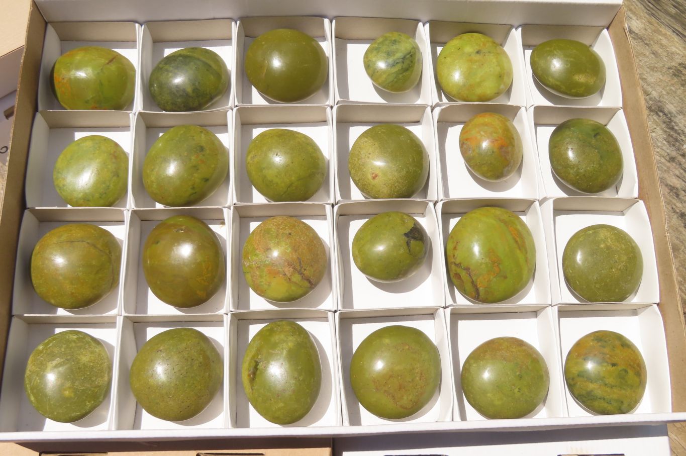 Polished Green Opal Palm Stones x 24 From Madagascar - Toprock Gemstones and Minerals 