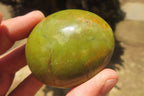 Polished Green Opal Palm Stones x 24 From Madagascar - Toprock Gemstones and Minerals 