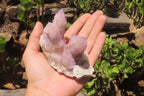 Natural Amethyst Spirit Quartz Clusters x 3 From Boekenhouthoek, South Africa - Toprock Gemstones and Minerals 