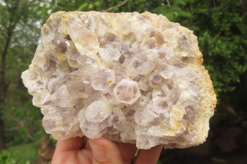 Natural Sugar Amethyst Quartz Clusters x 4 from Solwezi, Zambia - Toprock Gemstones and Minerals 