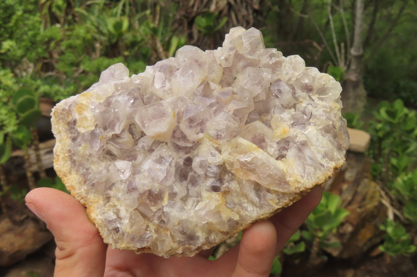 Natural Sugar Amethyst Quartz Clusters x 4 from Solwezi, Zambia - Toprock Gemstones and Minerals 