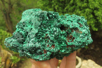 Natural Silky Malachite Specimens x 2 From Kasompe, Congo - Toprock Gemstones and Minerals 