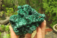 Natural Silky Malachite Specimens x 2 From Kasompe, Congo - Toprock Gemstones and Minerals 