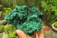 Natural Silky Malachite Specimens x 2 From Kasompe, Congo - Toprock Gemstones and Minerals 