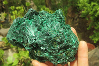 Natural Silky Malachite Specimens x 2 From Kasompe, Congo - Toprock Gemstones and Minerals 