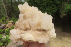 Natural White Quartz Cluster x 1 From Madagascar - Toprock Gemstones and Minerals 