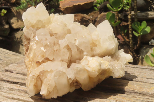 Natural White Quartz Cluster x 1 From Madagascar - Toprock Gemstones and Minerals 