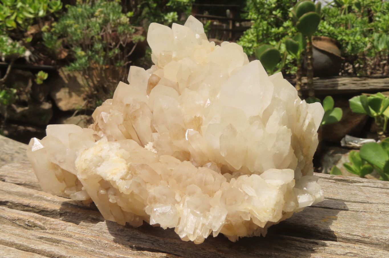 Natural White Quartz Cluster x 1 From Madagascar - Toprock Gemstones and Minerals 