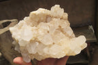 Natural White Quartz Cluster x 1 From Madagascar - Toprock Gemstones and Minerals 