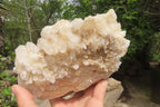 Natural White Quartz Cluster x 1 From Madagascar - Toprock Gemstones and Minerals 