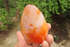 Polished Carnelian Standing Free Forms x 4 From Madagascar - Toprock Gemstones and Minerals 