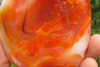 Polished Carnelian Standing Free Forms x 4 From Madagascar - Toprock Gemstones and Minerals 