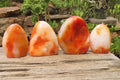 Polished Carnelian Standing Free Forms x 4 From Madagascar - Toprock Gemstones and Minerals 