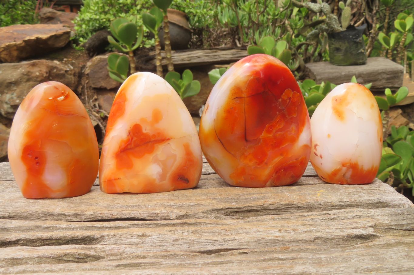 Polished Carnelian Standing Free Forms x 4 From Madagascar - Toprock Gemstones and Minerals 