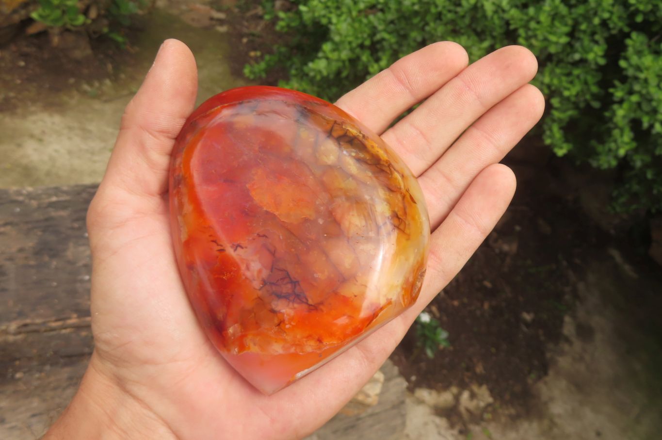 Polished Carnelian Standing Free Forms x 4 From Madagascar - Toprock Gemstones and Minerals 