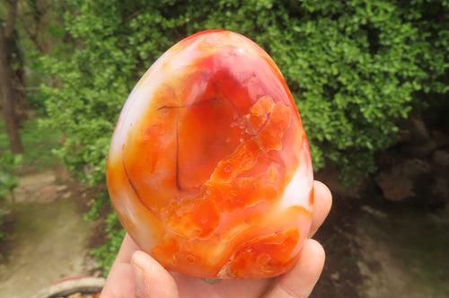 Polished Carnelian Standing Free Forms x 4 From Madagascar - Toprock Gemstones and Minerals 