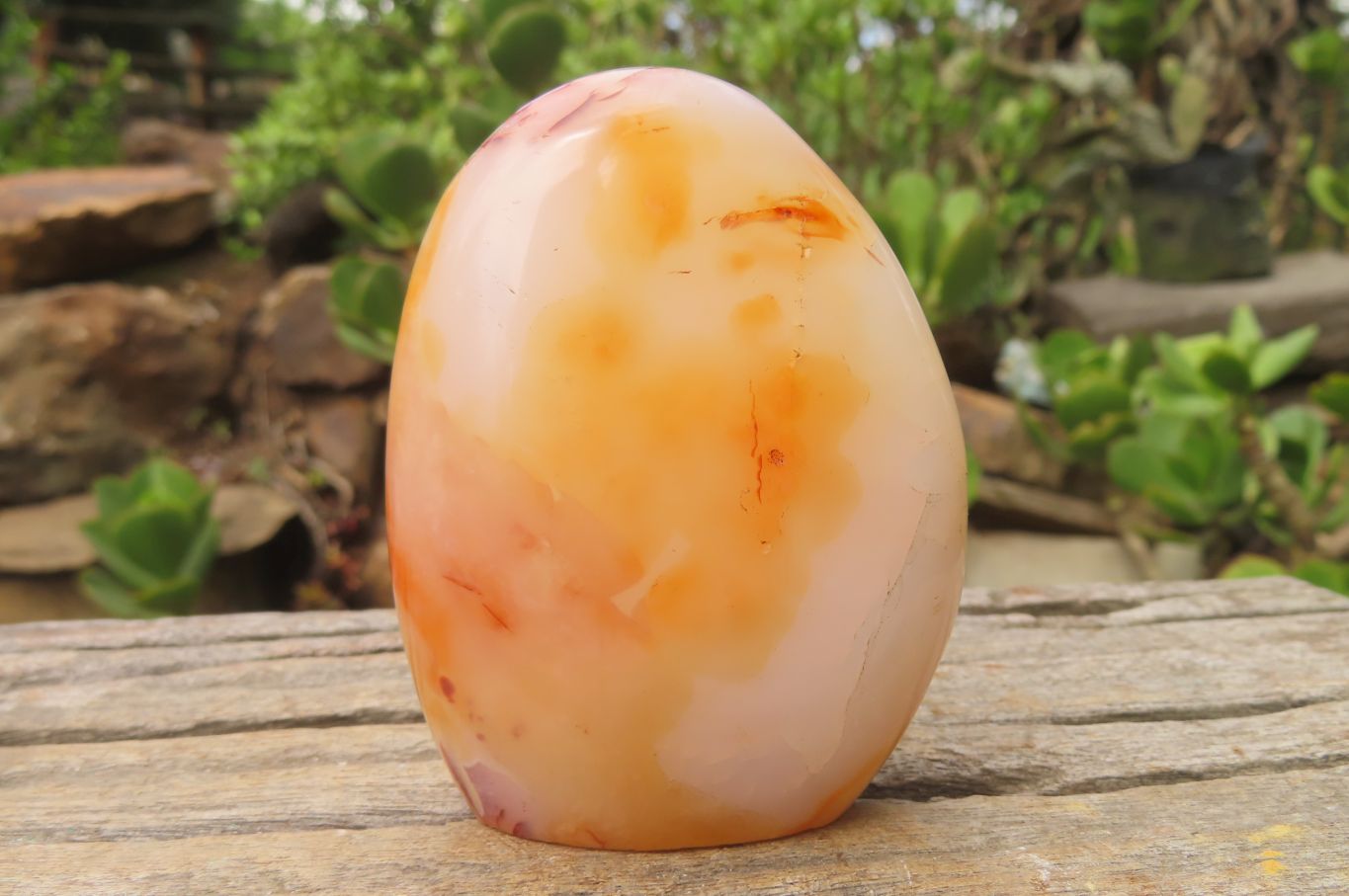 Polished Carnelian Standing Free Forms x 4 From Madagascar - Toprock Gemstones and Minerals 