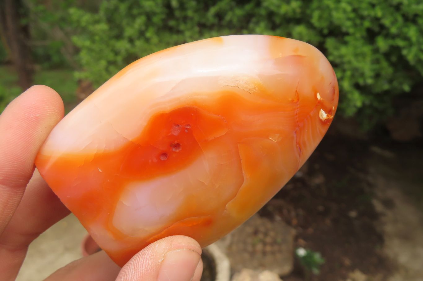 Polished Carnelian Standing Free Forms x 4 From Madagascar - Toprock Gemstones and Minerals 