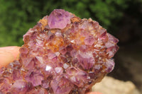 Natural Amethystos Amethyst Specimens x 12 From Kwaggafontein, South Africa - Toprock Gemstones and Minerals 