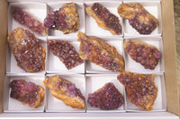 Natural Amethystos Amethyst Specimens x 12 From Kwaggafontein, South Africa - Toprock Gemstones and Minerals 