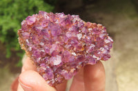 Natural Amethystos Amethyst Specimens x 12 From Kwaggafontein, South Africa - Toprock Gemstones and Minerals 