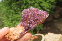 Natural Amethystos Amethyst Specimens x 12 From Kwaggafontein, South Africa - Toprock Gemstones and Minerals 