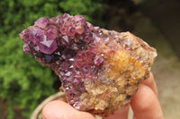 Natural Amethystos Amethyst Specimens x 12 From Kwaggafontein, South Africa - Toprock Gemstones and Minerals 