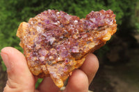 Natural Amethystos Amethyst Specimens x 12 From Kwaggafontein, South Africa - Toprock Gemstones and Minerals 