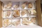 Natural Limonite Spirit Quartz Clusters x 12 From Boekenhouthoek, South Africa - Toprock Gemstones and Minerals 