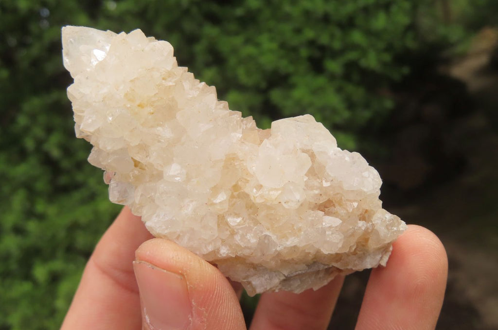 Natural Limonite Spirit Quartz Clusters x 12 From Boekenhouthoek, South Africa - Toprock Gemstones and Minerals 