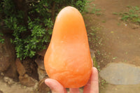 Polished Orange Twist Calcite Standing Free Forms x 2 From Madagascar - Toprock Gemstones and Minerals 