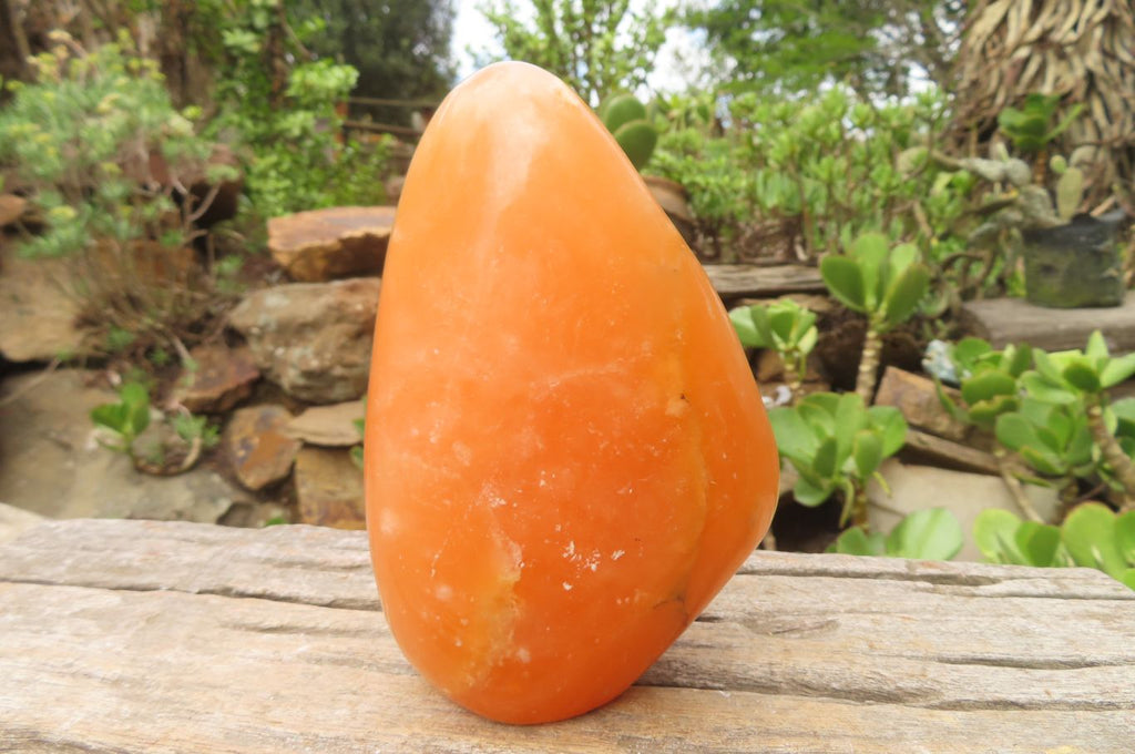 Polished Orange Twist Calcite Standing Free Forms x 2 From Madagascar - Toprock Gemstones and Minerals 
