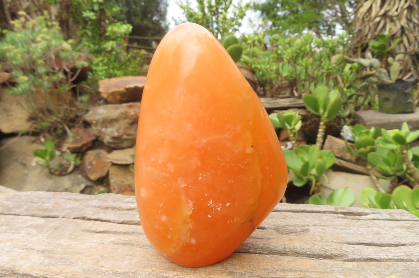 Polished Orange Twist Calcite Standing Free Forms x 2 From Madagascar - Toprock Gemstones and Minerals 