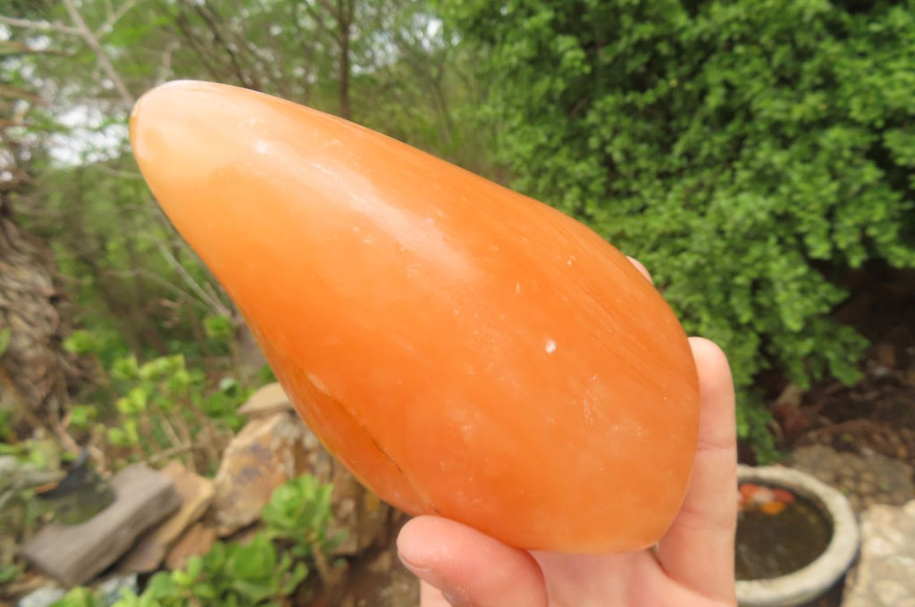 Polished Orange Twist Calcite Standing Free Forms x 2 From Madagascar - Toprock Gemstones and Minerals 