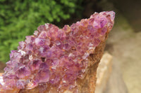 Natural Amethystos Amethyst Specimens x 12 From Kwaggafontein, South Africa - Toprock Gemstones and Minerals 