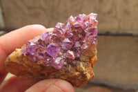 Natural Amethystos Amethyst Specimens x 12 From Kwaggafontein, South Africa - Toprock Gemstones and Minerals 
